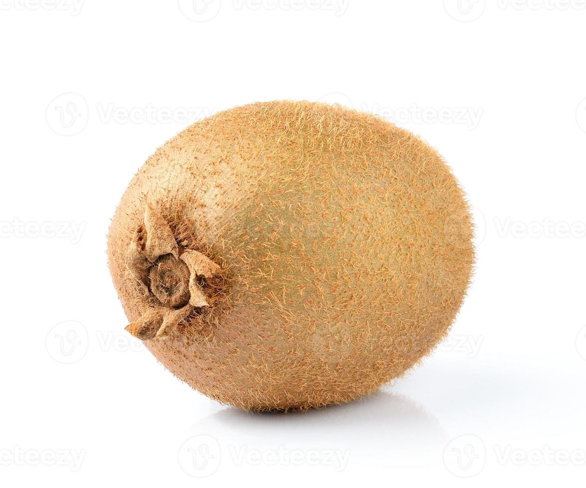 kiwi fruit  isolated on white  background photo