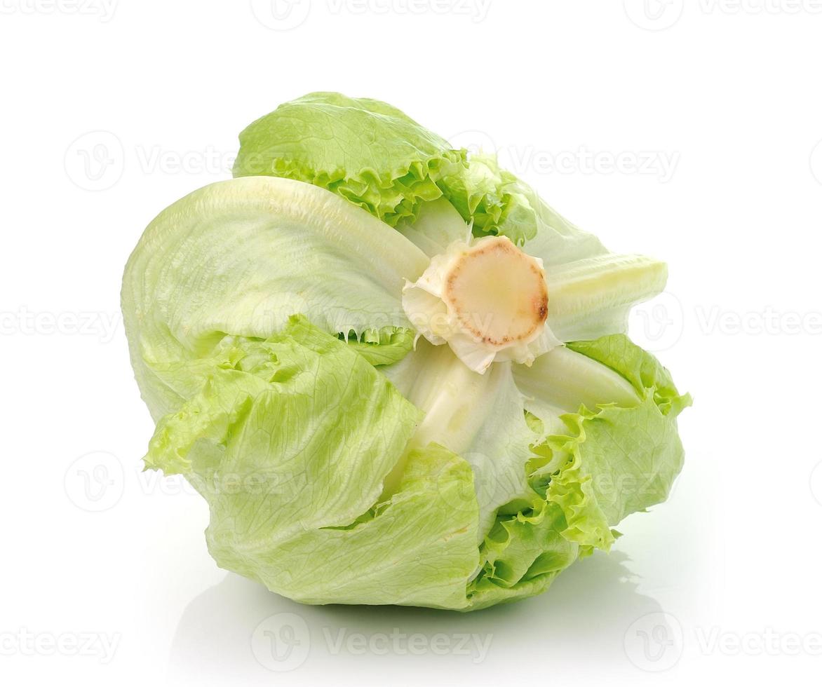 Green Iceberg lettuce on White Background photo