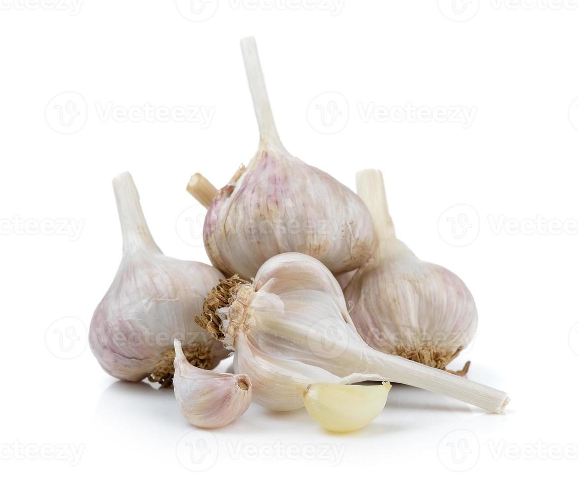 garlic on white background photo