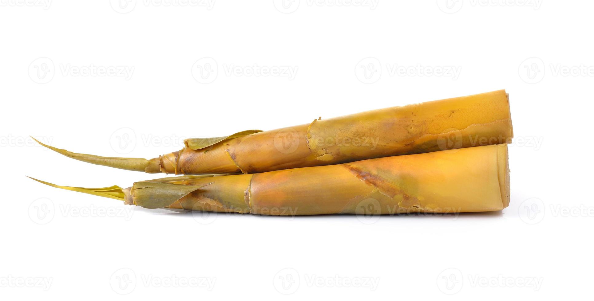 Bamboo shoot on white background photo