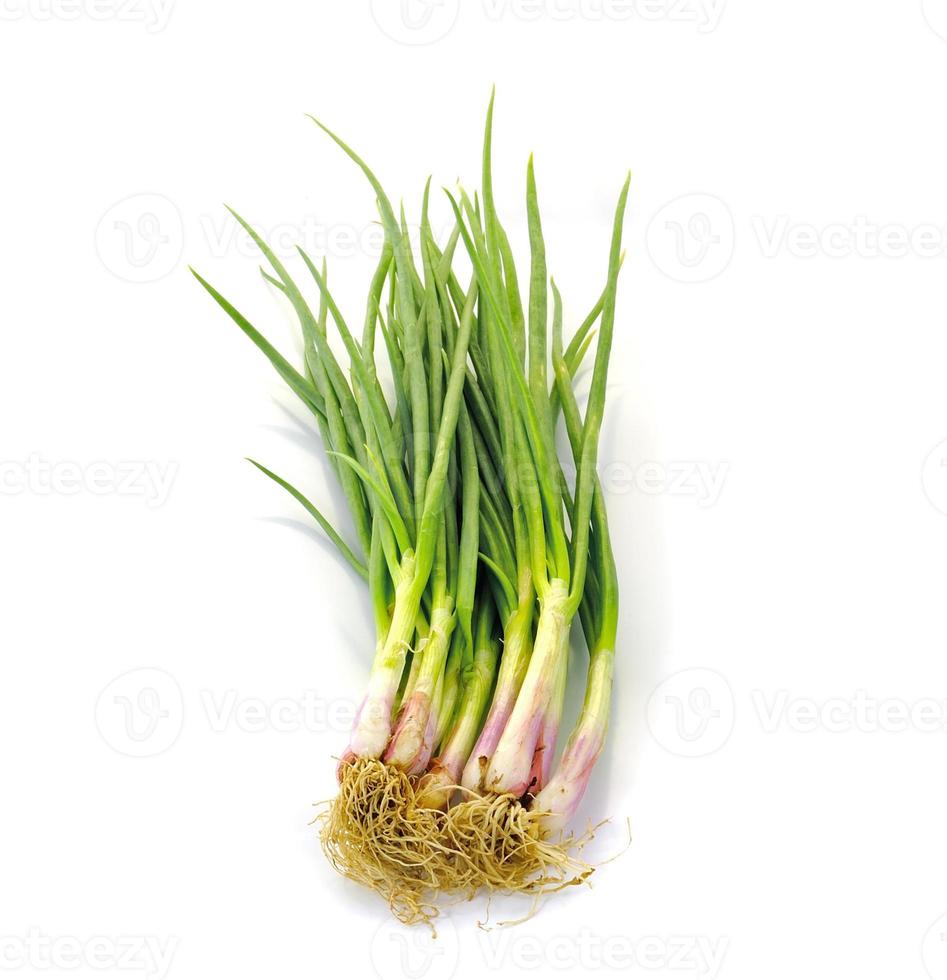 beautiful spring onions on a white background. photo