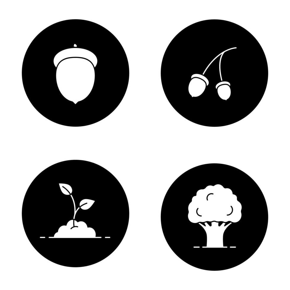 Forestry glyph icons set. Oak tree and fruit, growing sprout. Vector white silhouettes illustrations in black circles
