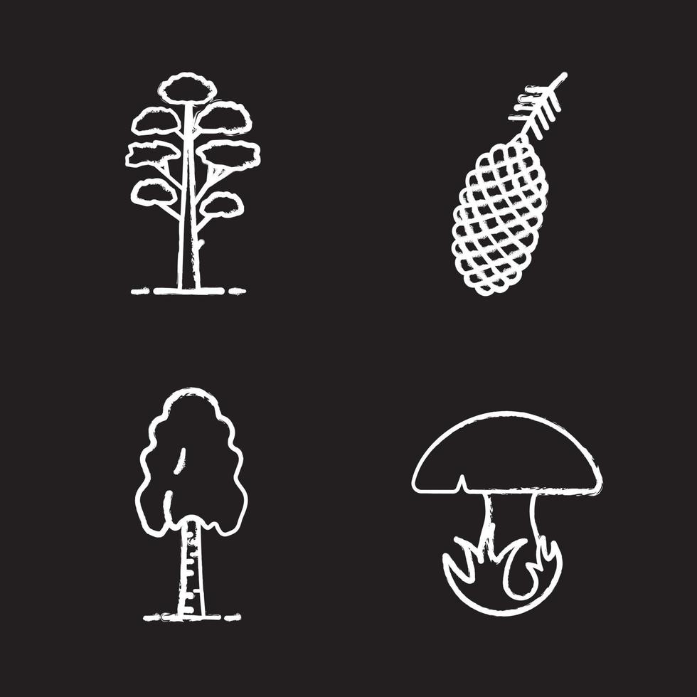 Conjunto de iconos de tiza forestal. cono de pino y árbol, abedul, seta. ilustraciones de pizarra vector aislado