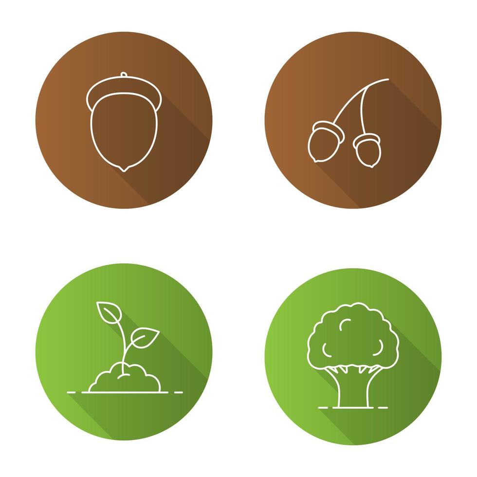 Forestry flat linear long shadow icons set. Oak tree and fruit, growing sprout. Vector outline illustration