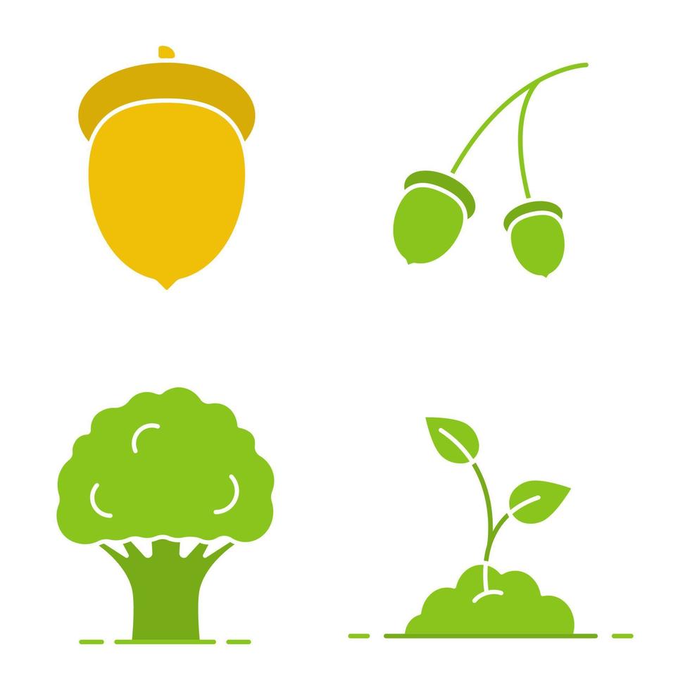 Forestry glyph color icon set. Oak tree and fruit, growing sprout. Silhouette symbols on white backgrounds. Negative space. Vector illustrations