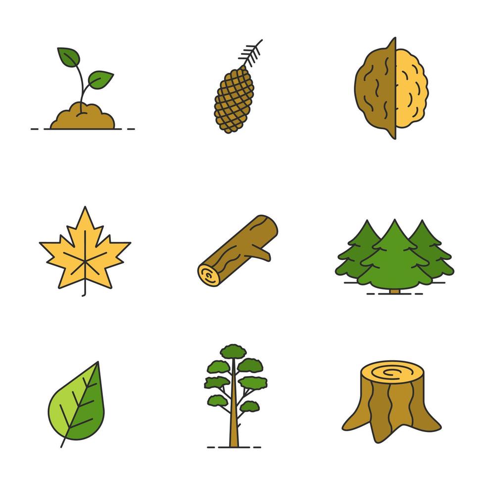 Forestry color icons set. Growing sprout, pine cone and tree, opened walnut, maple leaf, firewood, fir forest, stump. Isolated vector illustrations