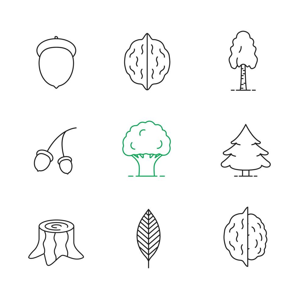 Forestry linear icons set. Acorns, walnut leaf, hazelnuts, birch, oak, fir trees, stump. Thin line contour symbols. Isolated vector outline illustrations