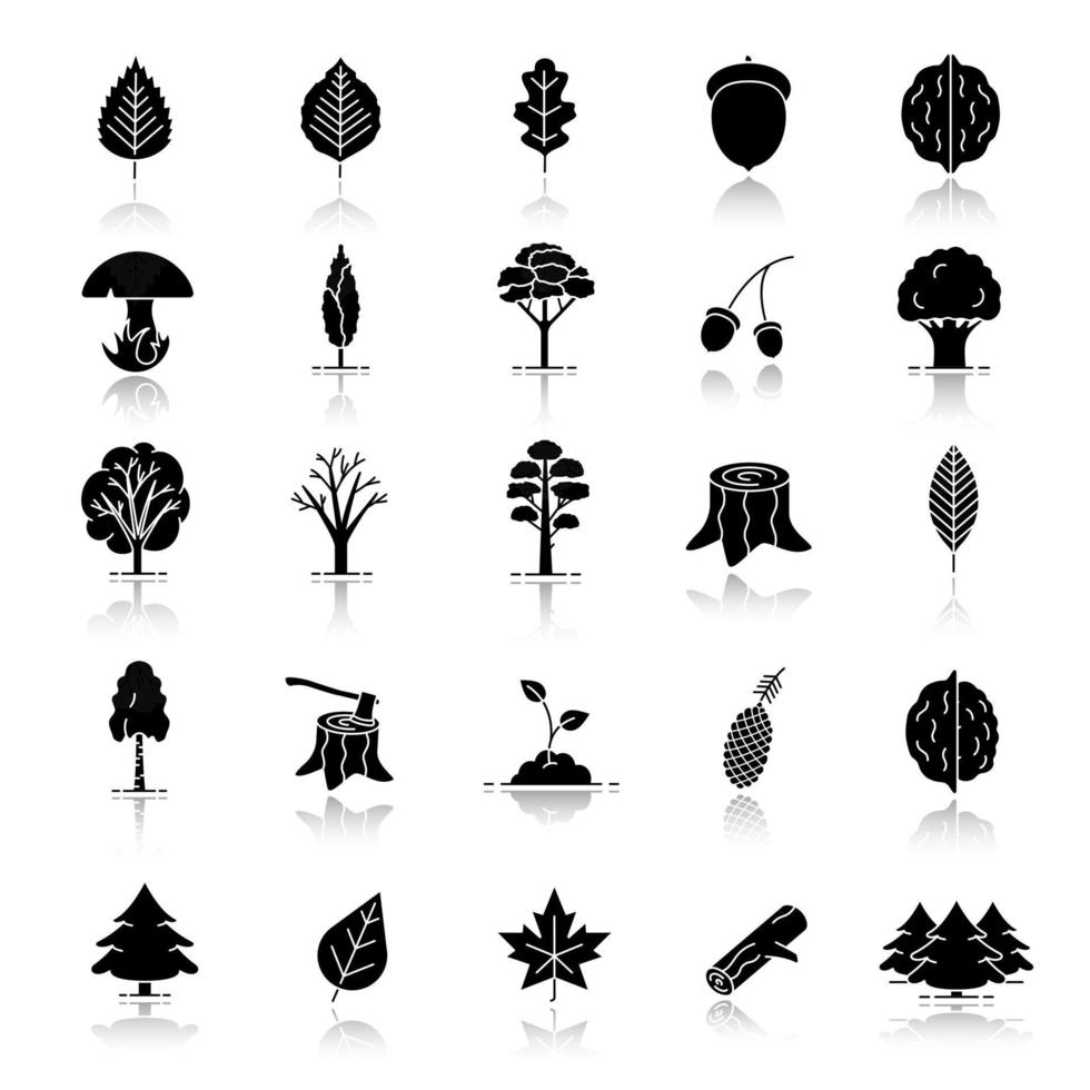 tipos de árboles caída de sombra conjunto de iconos de glifos negros. parque Forestal. silvicultura. ilustraciones vectoriales aisladas vector