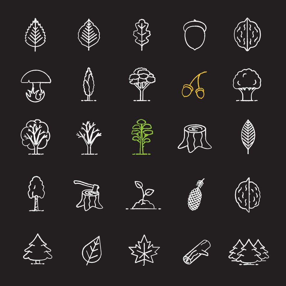 conjunto de iconos de tiza de tipos de árboles. parque Forestal. silvicultura. ilustraciones de pizarra vector aislado