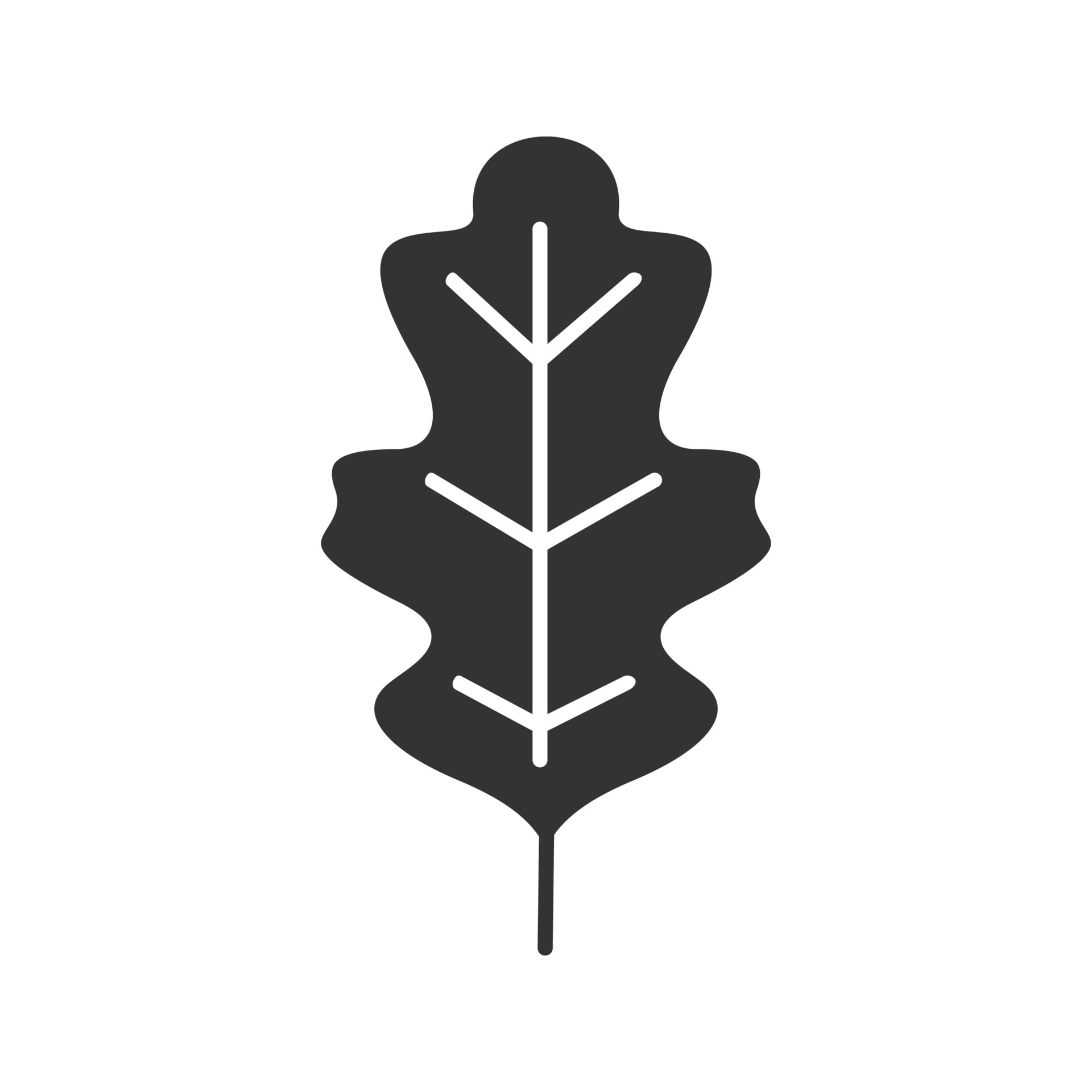 Oak leaf glyph icon. Silhouette symbol. Forest tree leaf. Negative ...