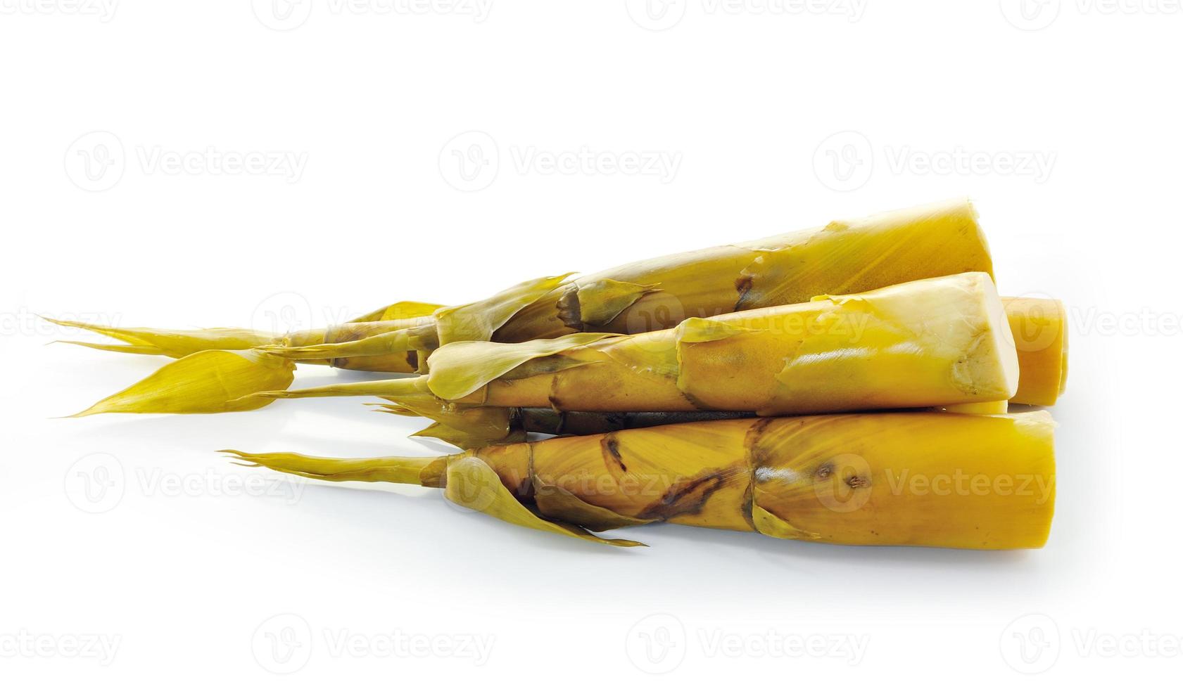 Bamboo shoot on white background photo