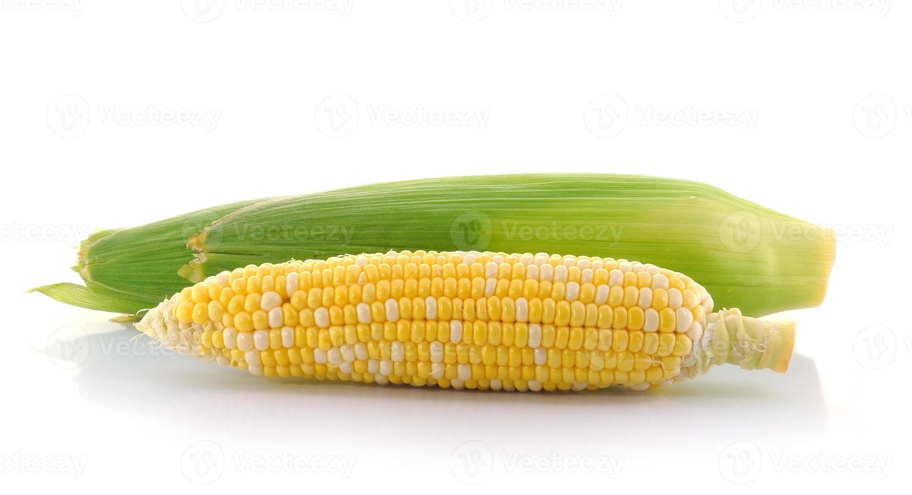 corn on a white background photo