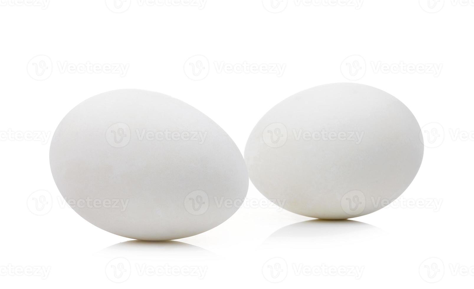 preserved egg on white background photo