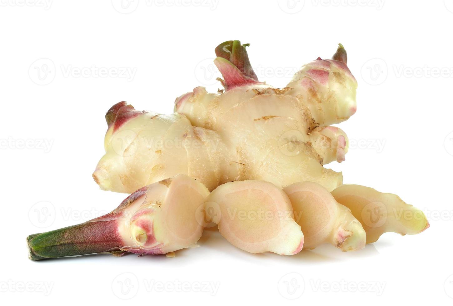 ginger on white background photo