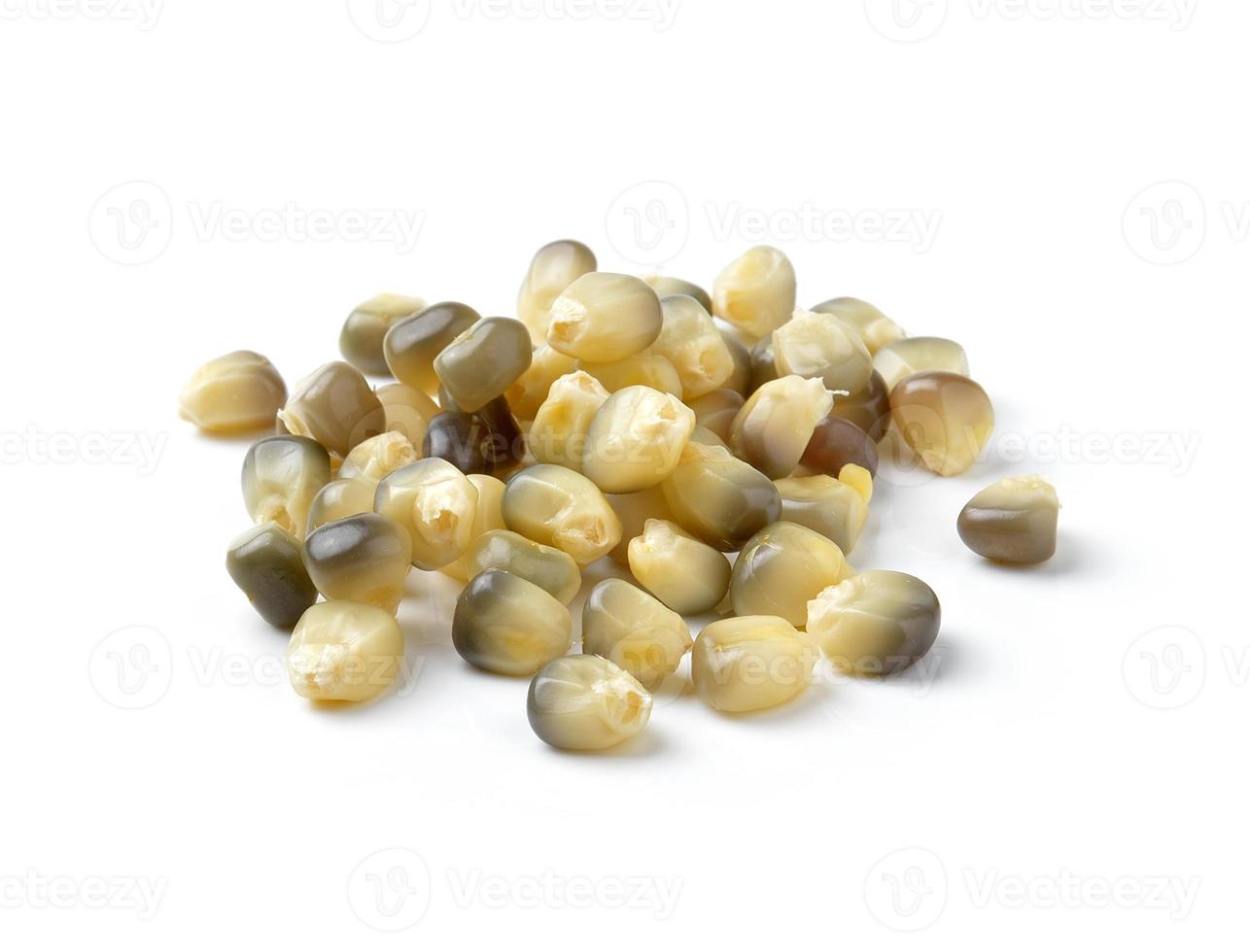 corn isolated on white background photo