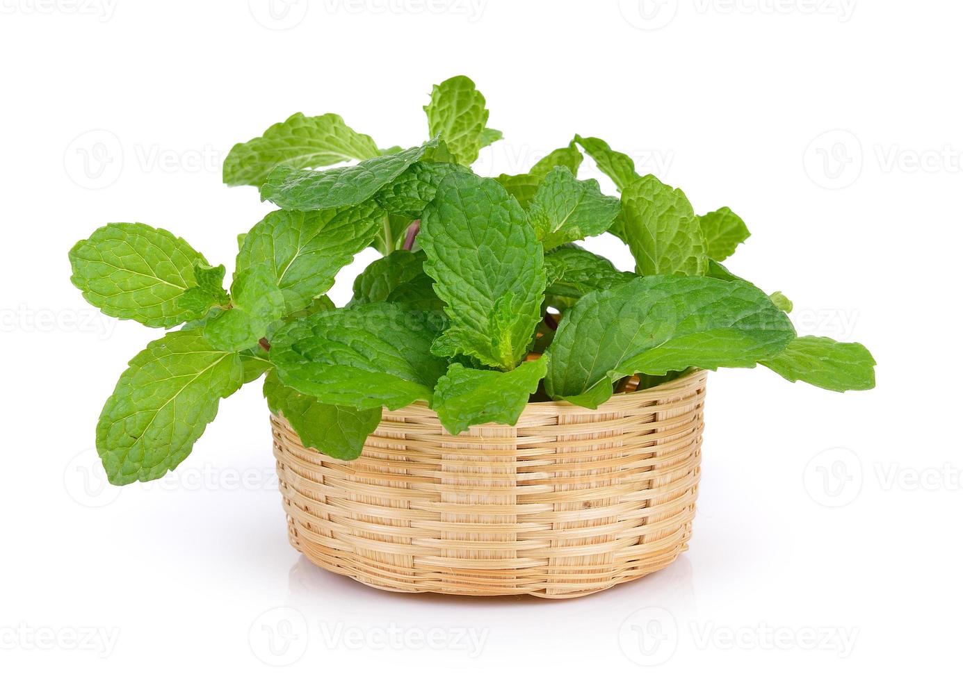 mint leaf in the basket on white background photo