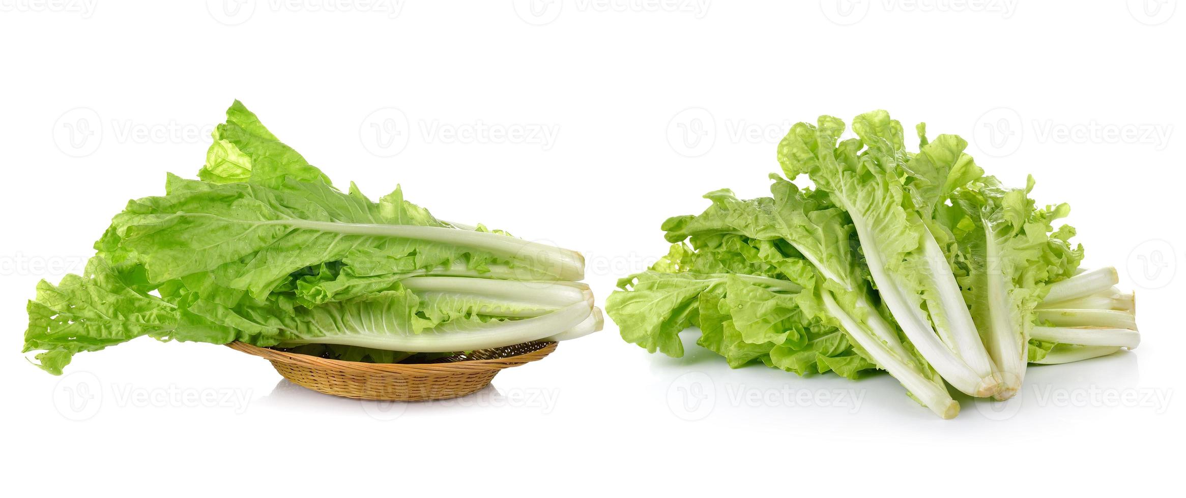 lettuce leaves isolated on white background photo