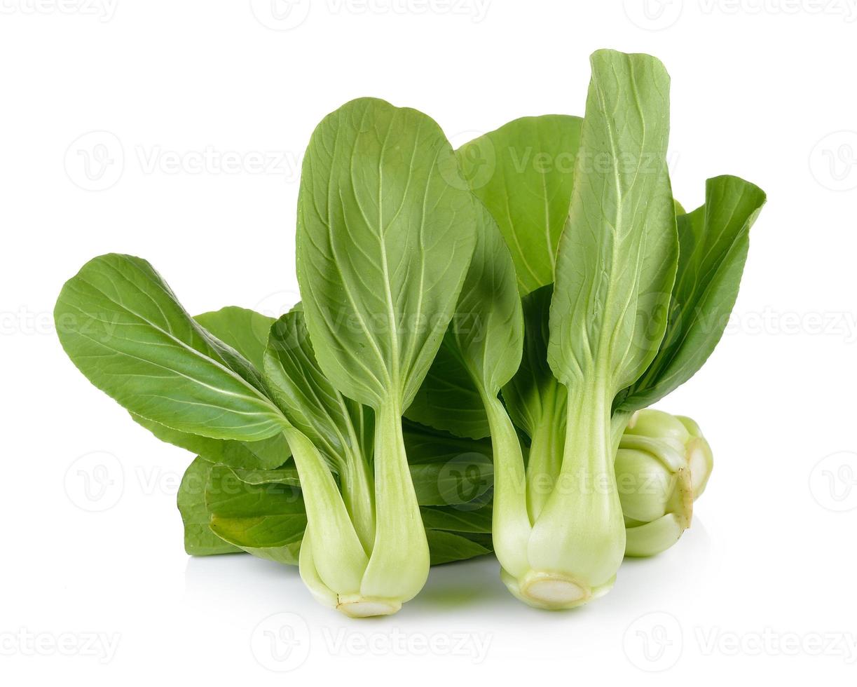 Bok choy vegetal sobre fondo blanco. foto