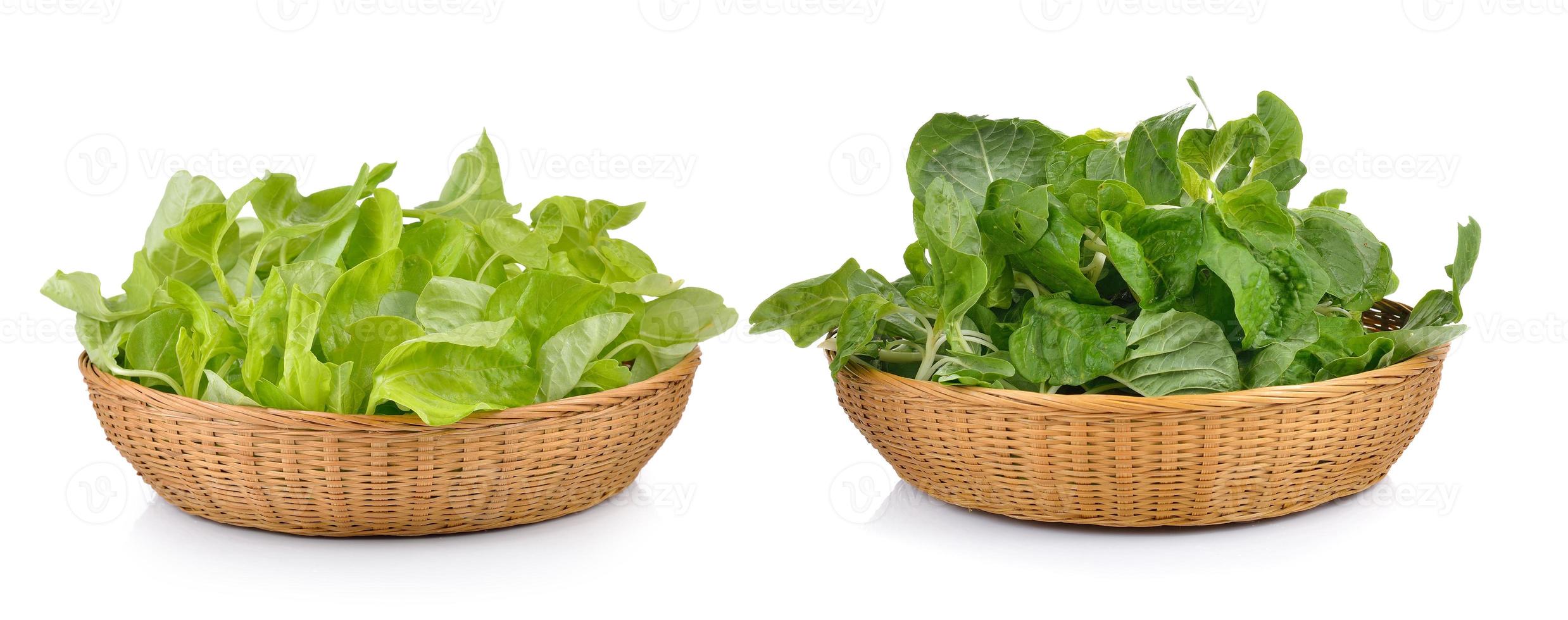 spinach in the basket on white background photo