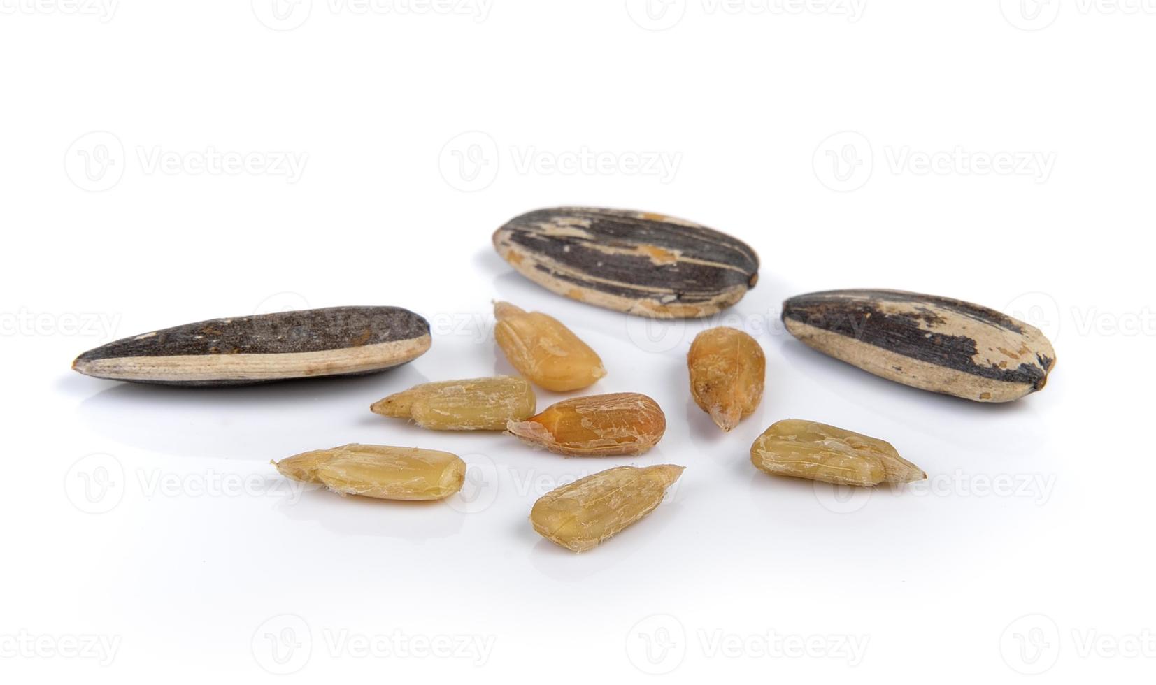 sunflower seeds pile against white background photo