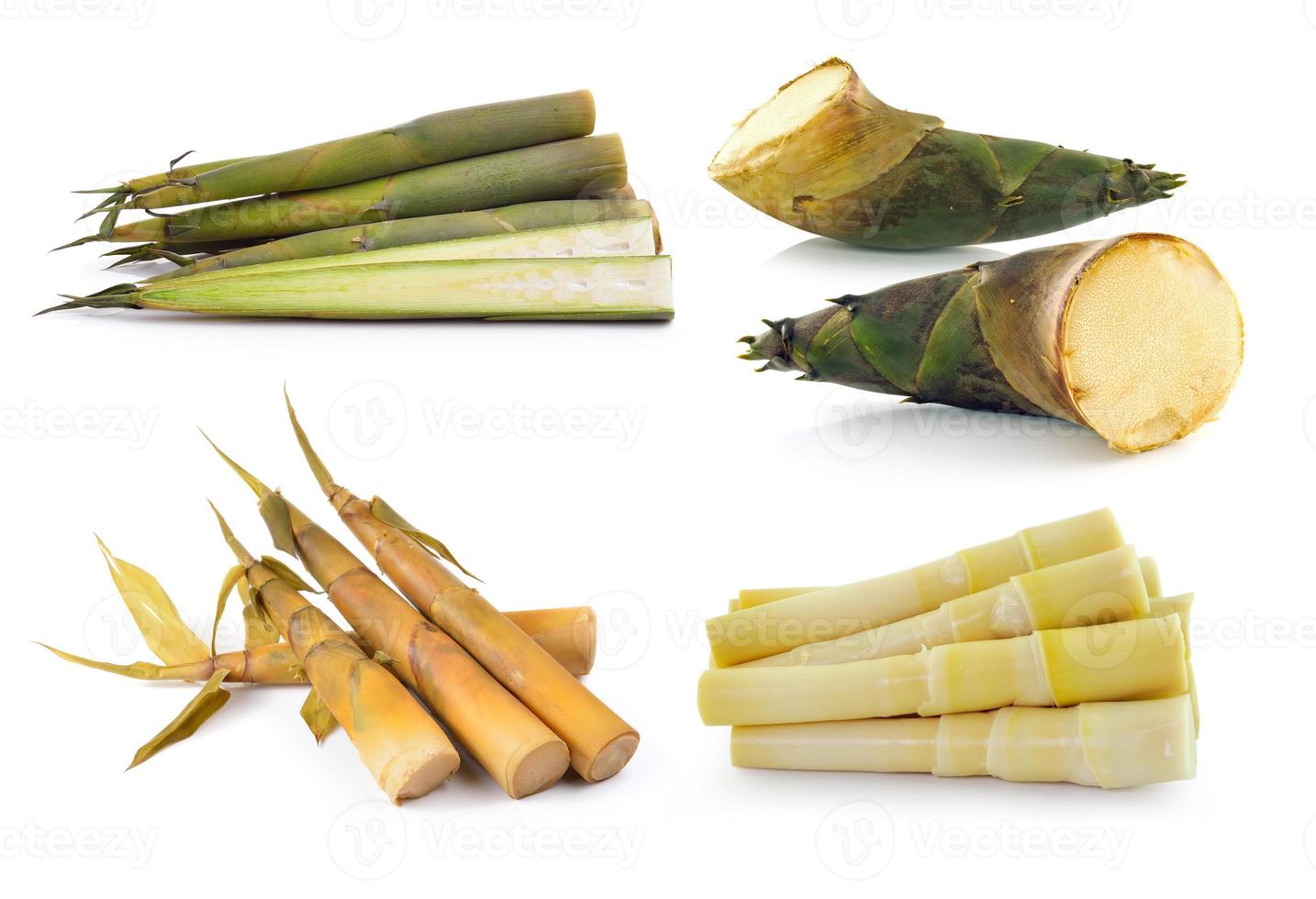 Bamboo shoot on white background photo