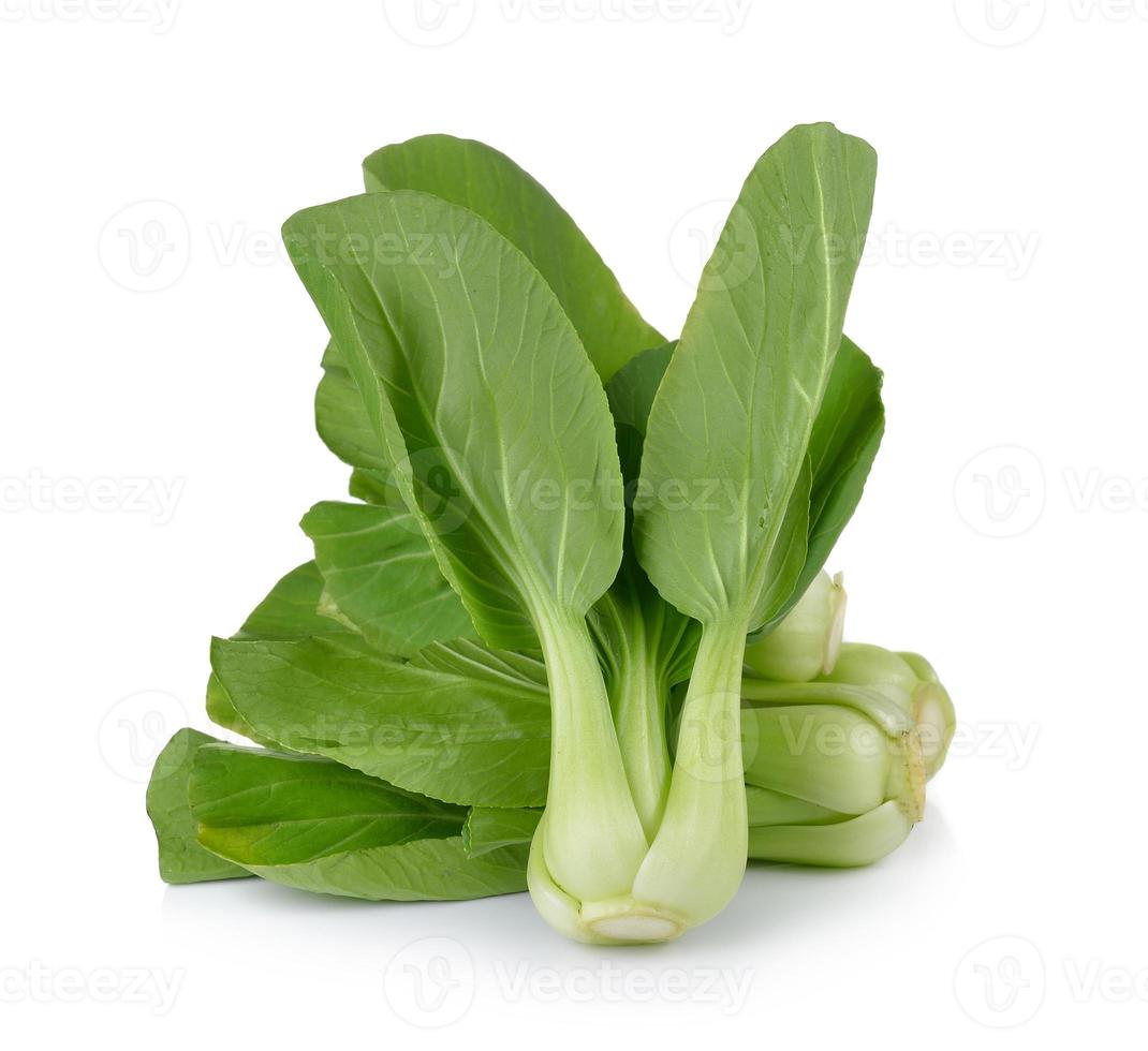 Bok choy vegetal sobre fondo blanco. foto