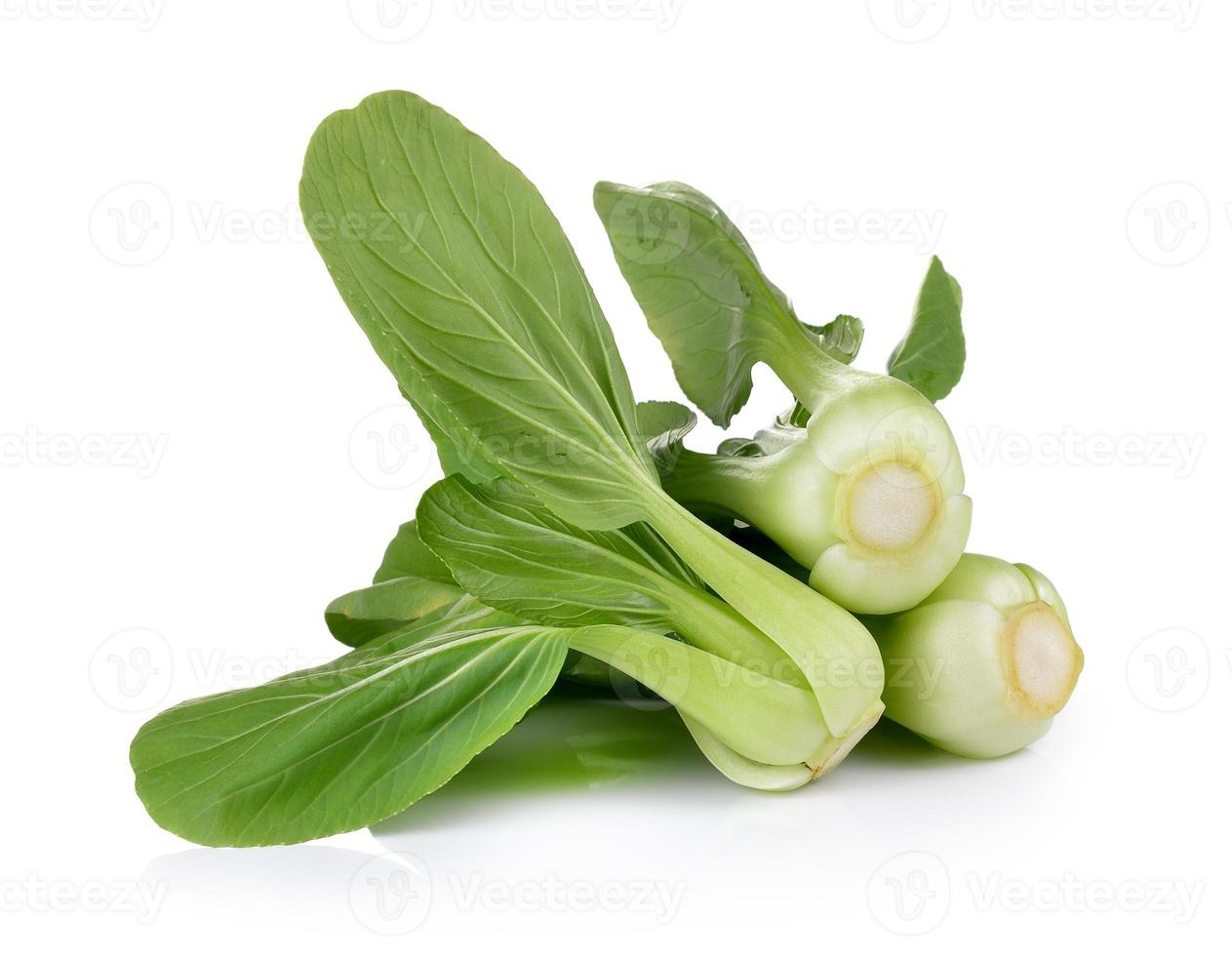Bok choy vegetal sobre fondo blanco. foto