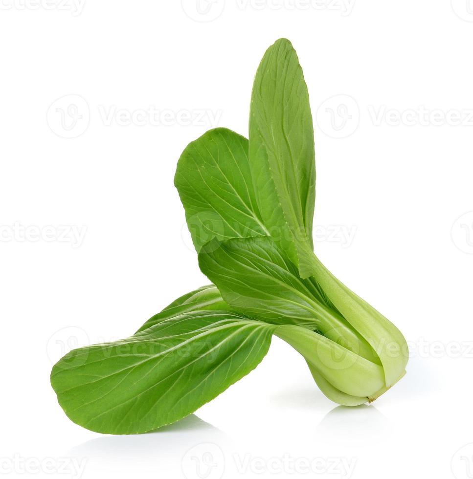 Bok choy vegetal sobre fondo blanco. foto