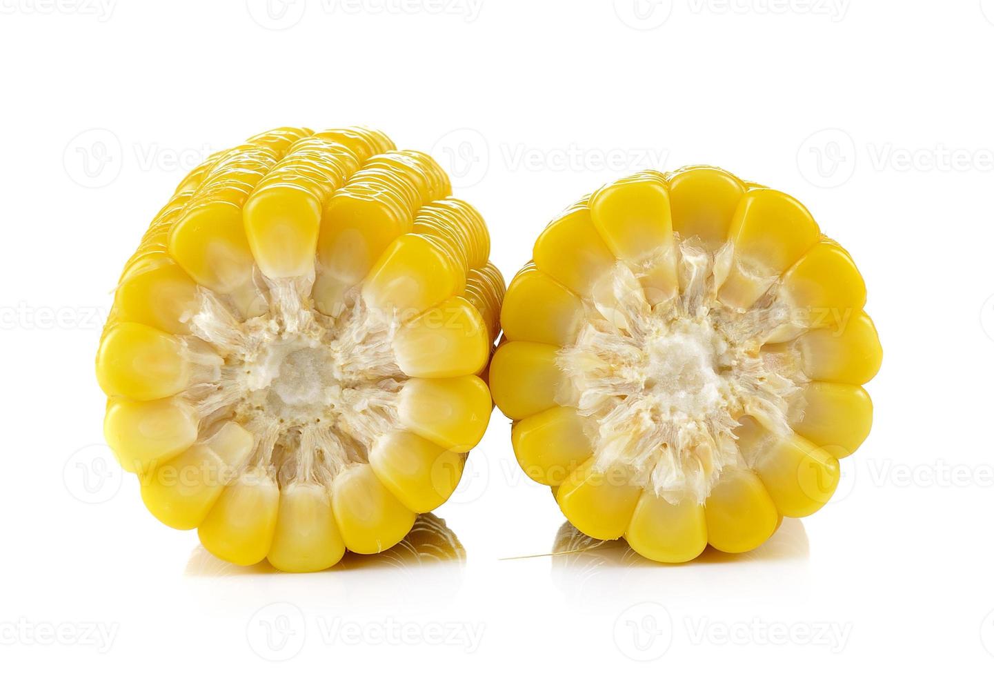 corn on white background photo