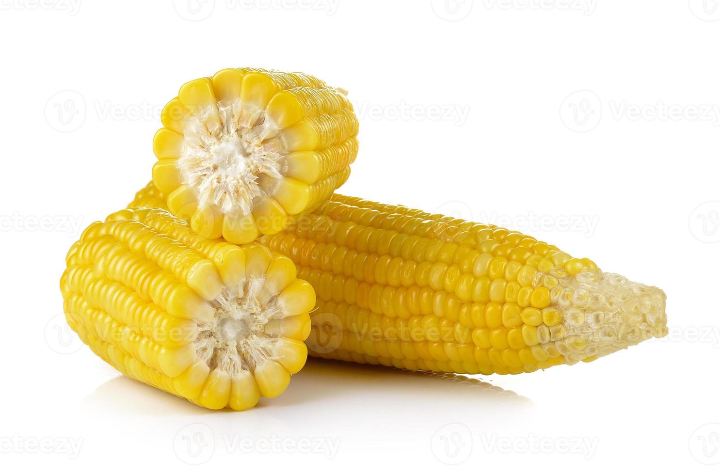 corn on white background photo