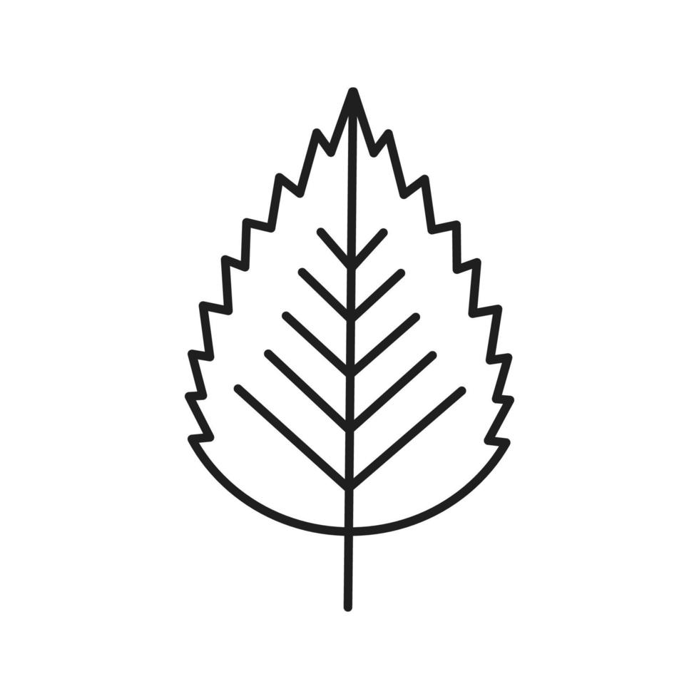 Birch leaf linear icon. Thin line illustration. Contour symbol. Vector isolated outline drawing