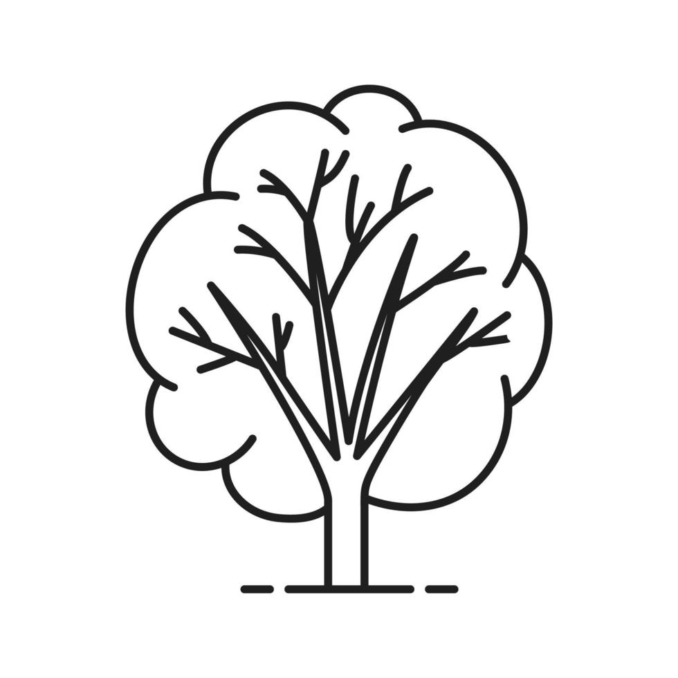 icono lineal de árbol. bosque, parque ilustración de línea fina. símbolo de contorno forestal. dibujo de contorno aislado vectorial vector