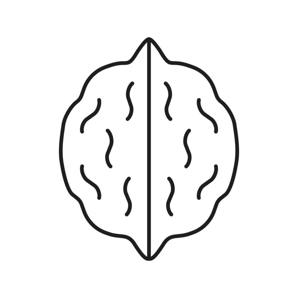 Walnut linear icon. Hazelnut, nut thin line illustration. Autumn season contour symbol. Vector isolated outline drawing