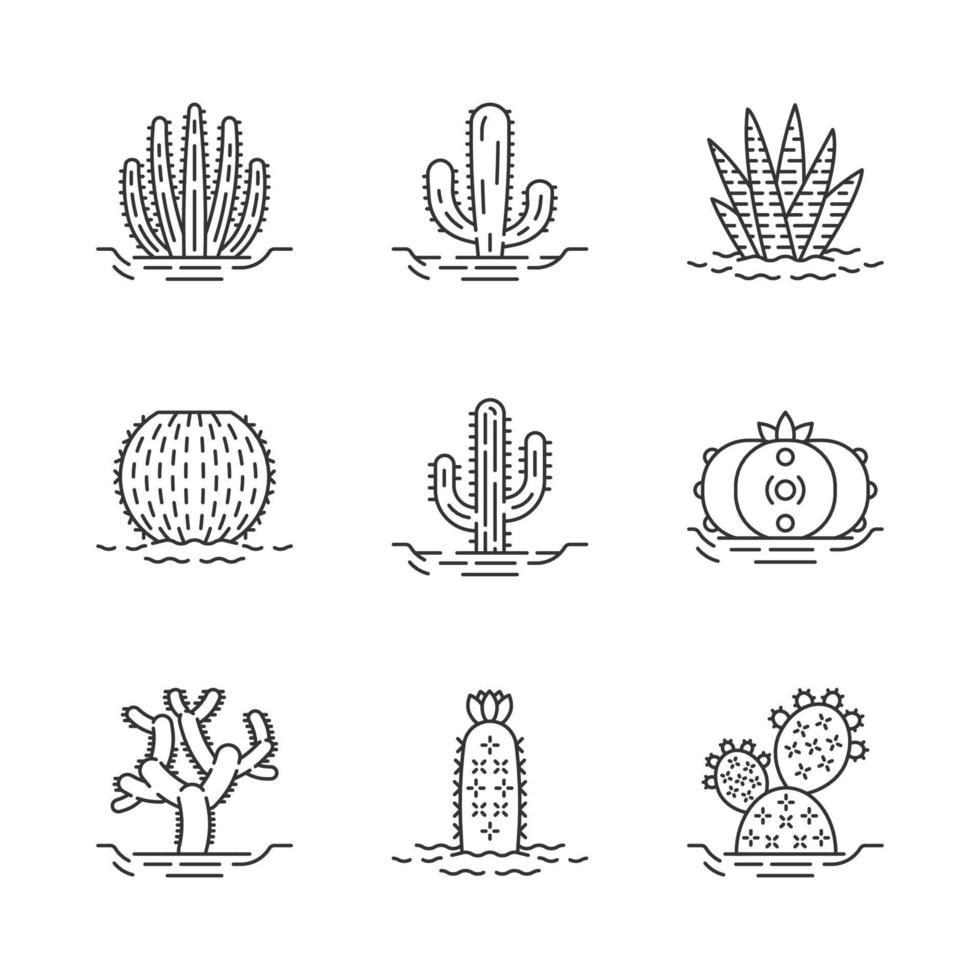 Wild cactuses on ground linear icons set. Mexican tropical flora. Succulents. Spiny plants. Cacti collection. Thin line contour symbols. Isolated vector outline illustrations. Editable stroke