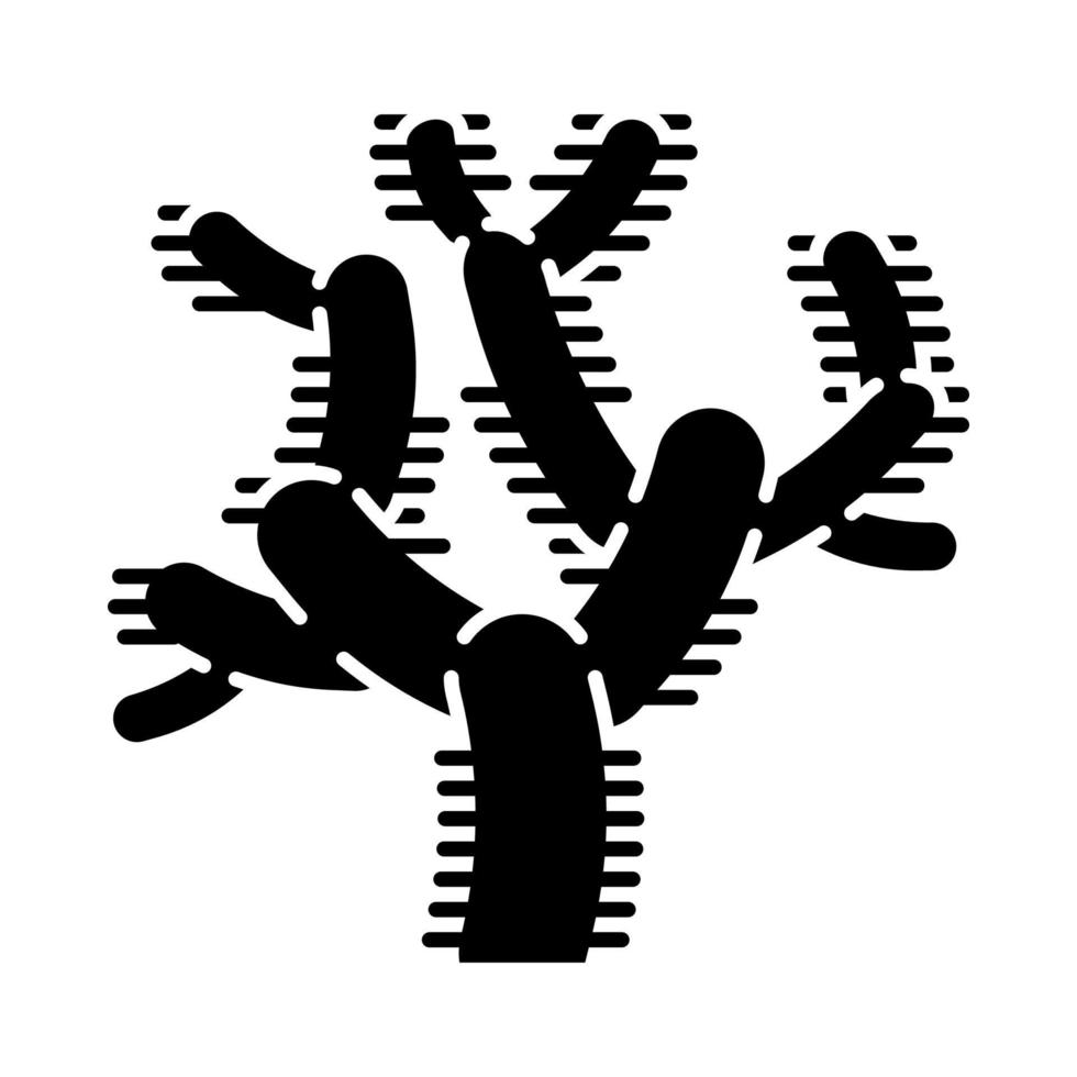 Teddy bear cholla cactus glyph icon. Cylindropuntia. Cylindroid-jointed cacti. America native tropical plant. Silhouette symbol. Negative space. Vector isolated illustration