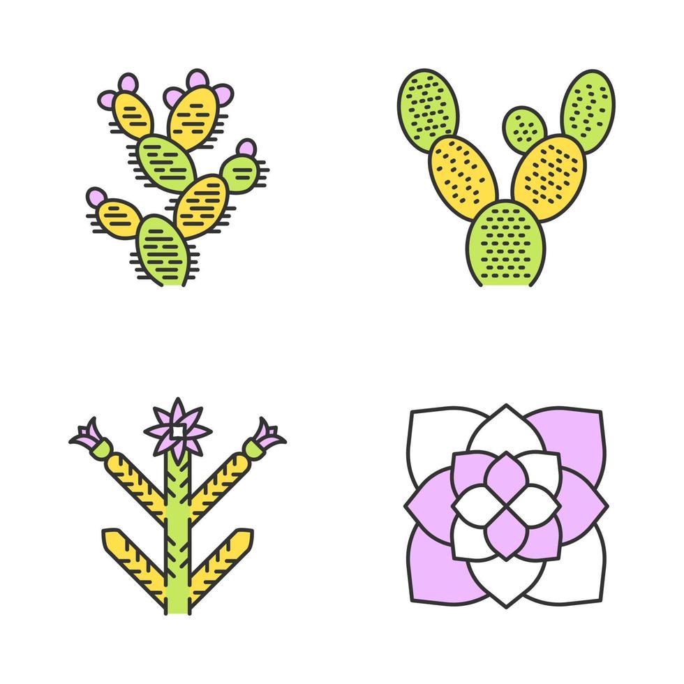 Conjunto de iconos de colores de plantas del desierto. flora exótica. cactus oreja de conejo, tuna, cholla, planta fantasma. suculentas americanas. ilustraciones vectoriales aisladas vector