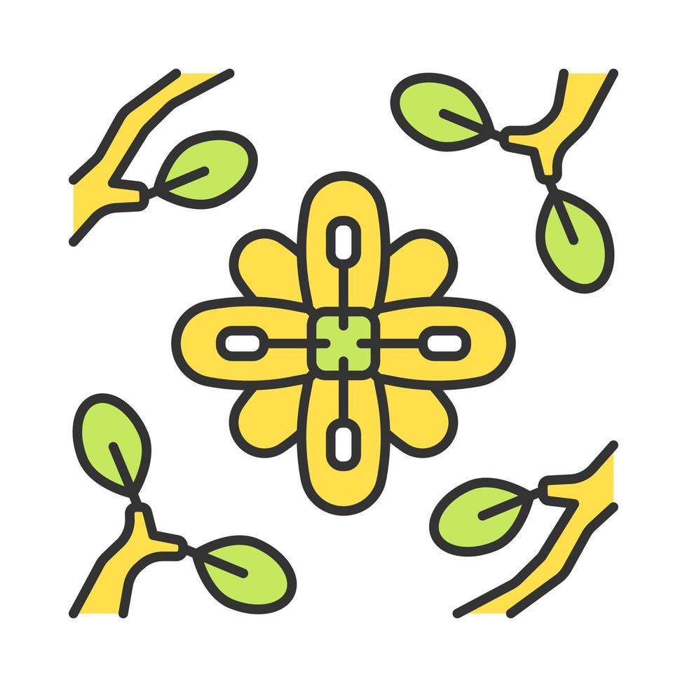 icono de color larrea. arbusto de creosota. flora exotica de mexico y estados unidos. ramitas enmarcadas de flores. ilustración vectorial aislada vector