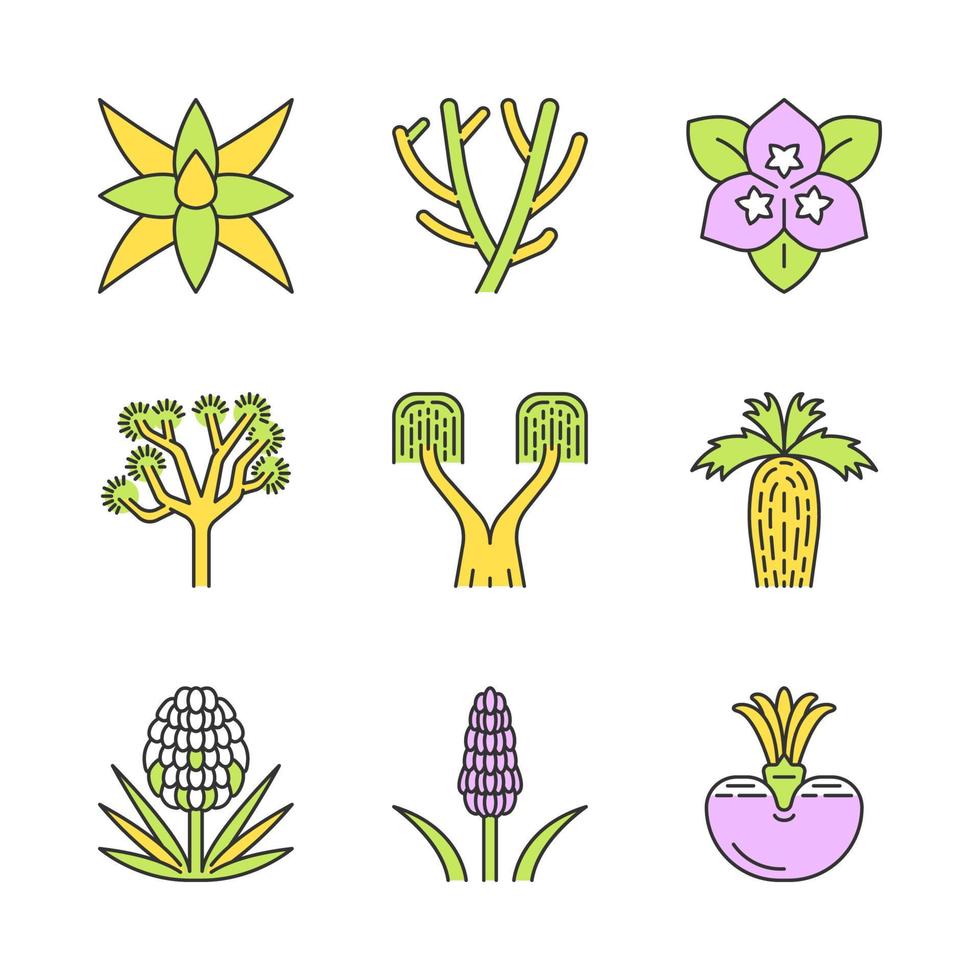 Conjunto de iconos de colores de plantas del desierto. flora exótica. Yucas, cactus, palmeras, agave, arbusto. Plantas decorativas resistentes a la sequía. ilustraciones vectoriales aisladas vector