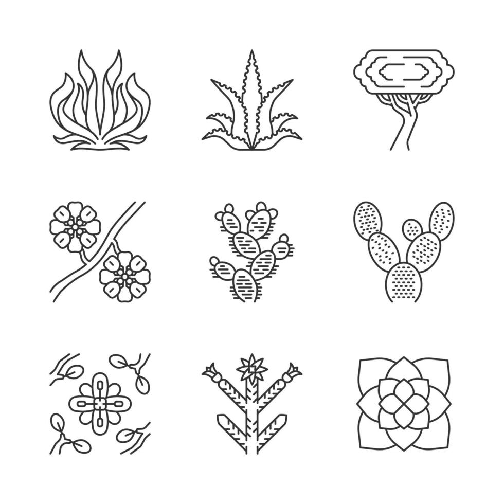 Desert plants linear icons set. Exotic flora. American succulents. Larrea, palo verde tree, aloe vera, agave. Thin line contour symbols. Isolated vector outline illustrations. Editable stroke