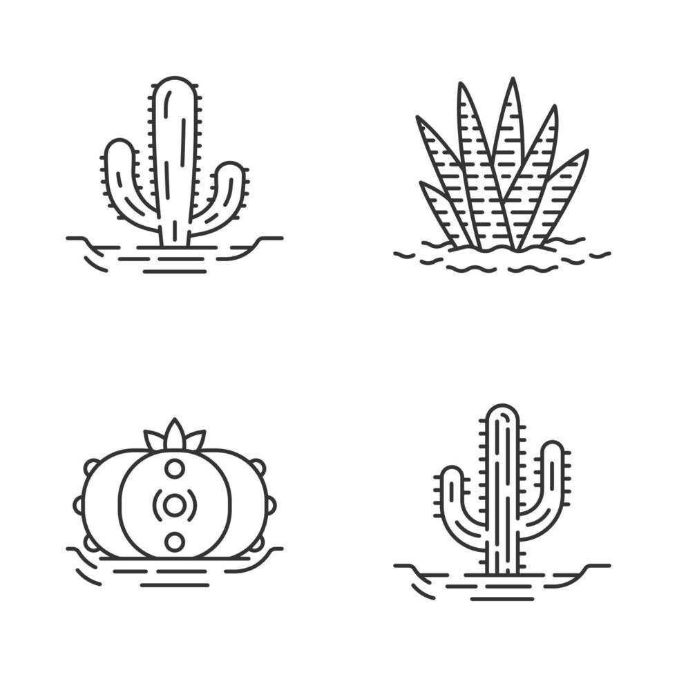 Wild cactuses in ground linear icons set. Tropical succulents. Spiny plants. Mexican giant, saguaro, peyote, zebra cactus. Thin line contour symbols. Isolated vector outline icons. Editable stroke