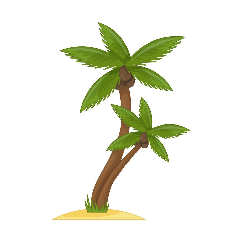 palmera de coco de dibujos animados. palmera plana aislada sobre fondo blanco. ilustración vectorial. vector