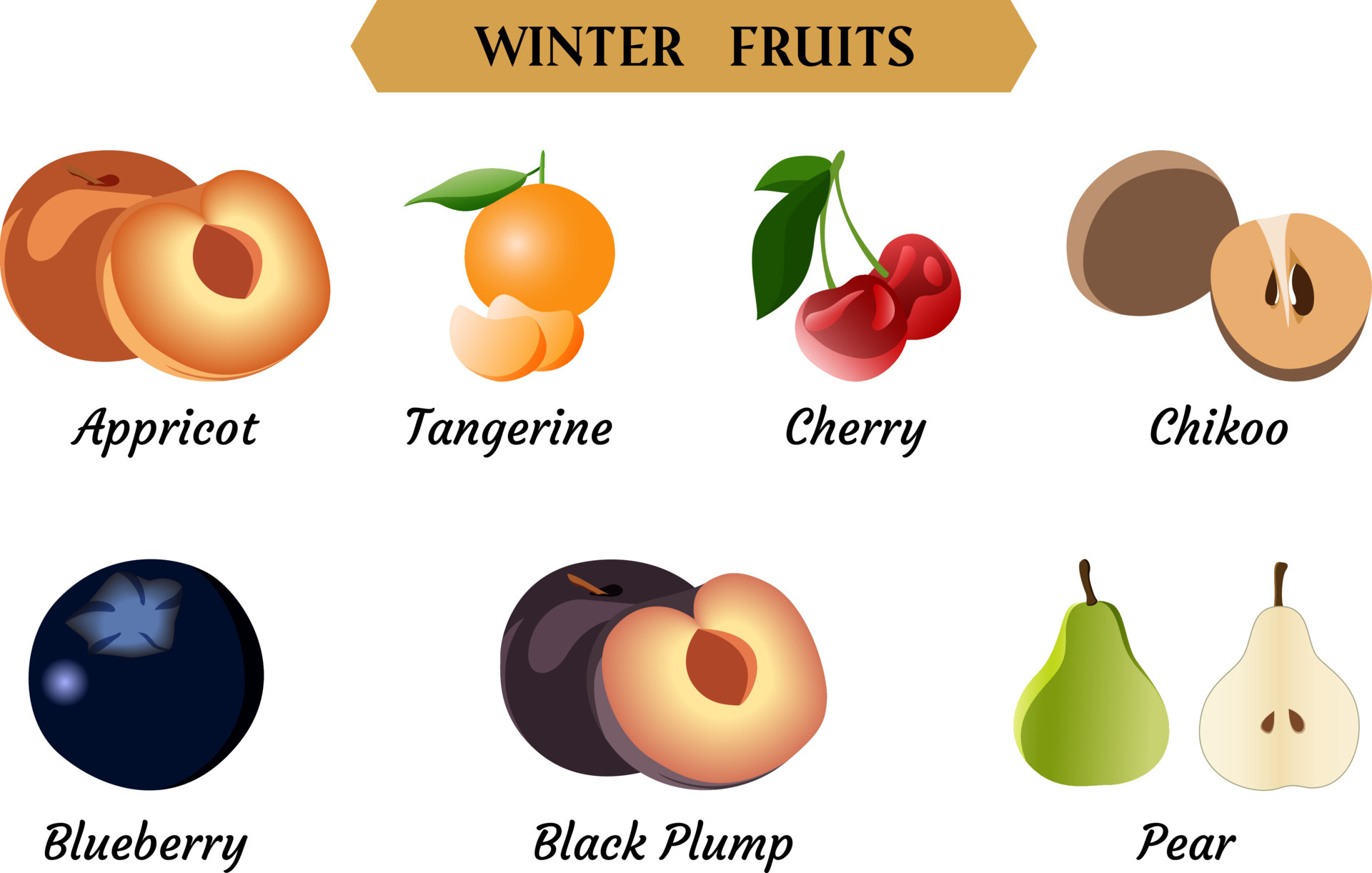Winter Fruits Vector Illustration, Simple Fruits vector illustration