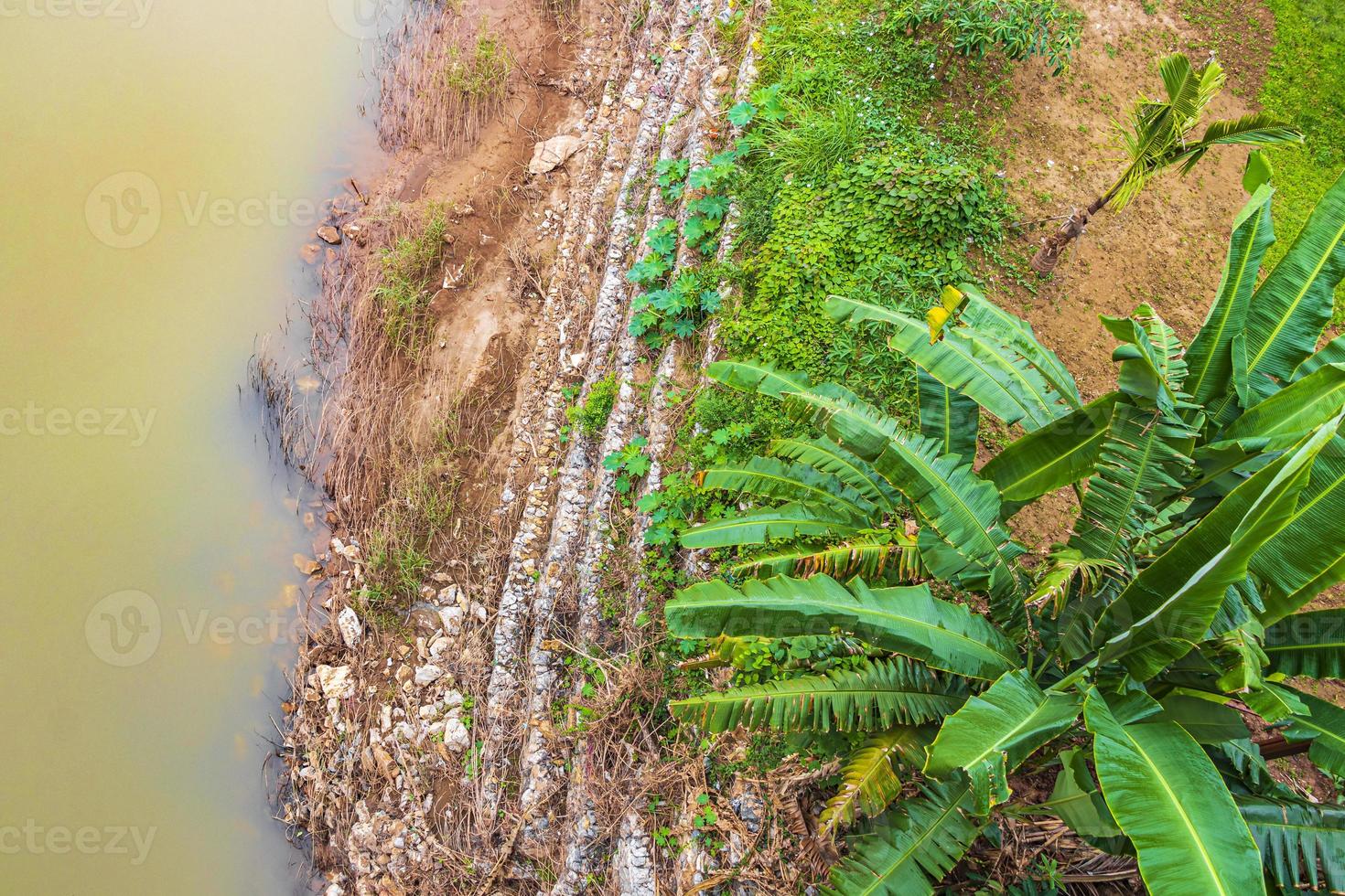 Mekong River Luang Prabang Laos from above with palm trees. photo