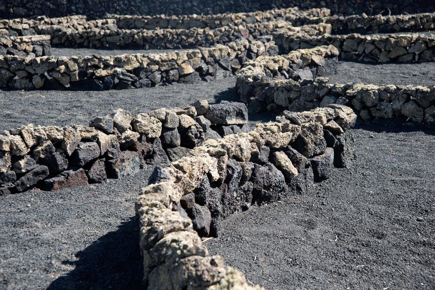 Close up of gerias, stone walls in semi circles to protect vineyards. Lanzarote, Canary islands, Spain photo