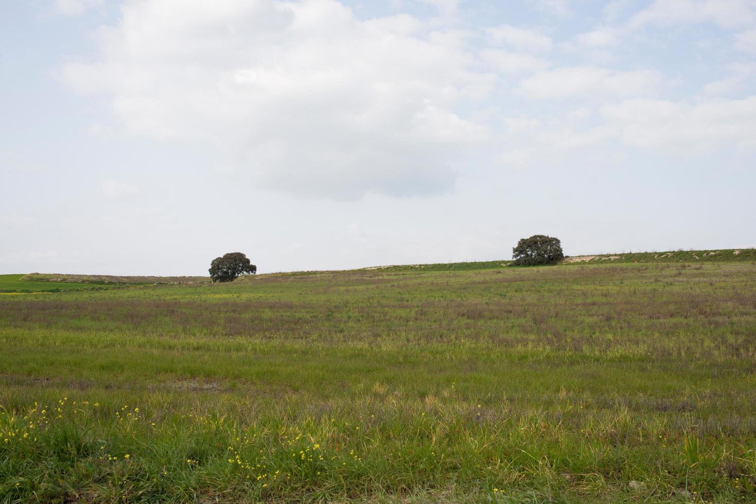 Beautiful landscape in springtime at Brunete, Madrid photo