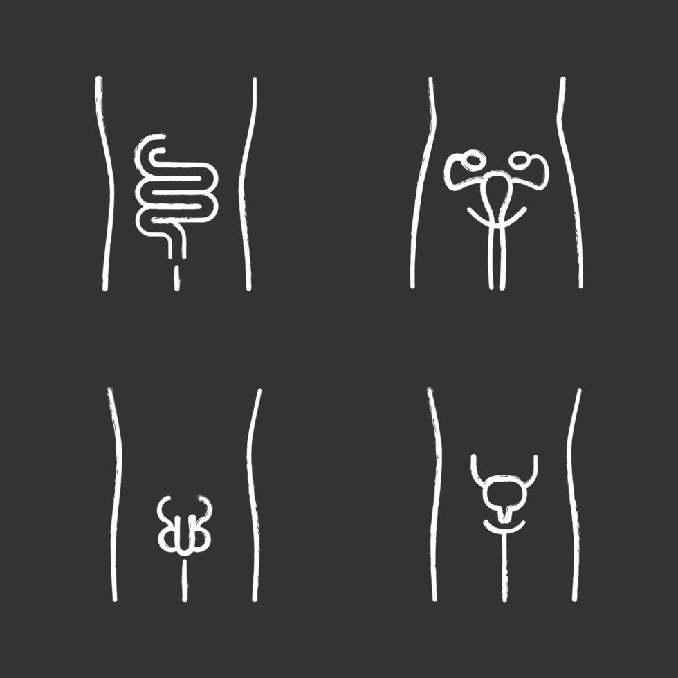 Healthy human organs chalk icons set. Intestines and urinary bladder in good health. Functioning men and women reproductive systems. Fertility. Isolated vector chalkboard illustrations