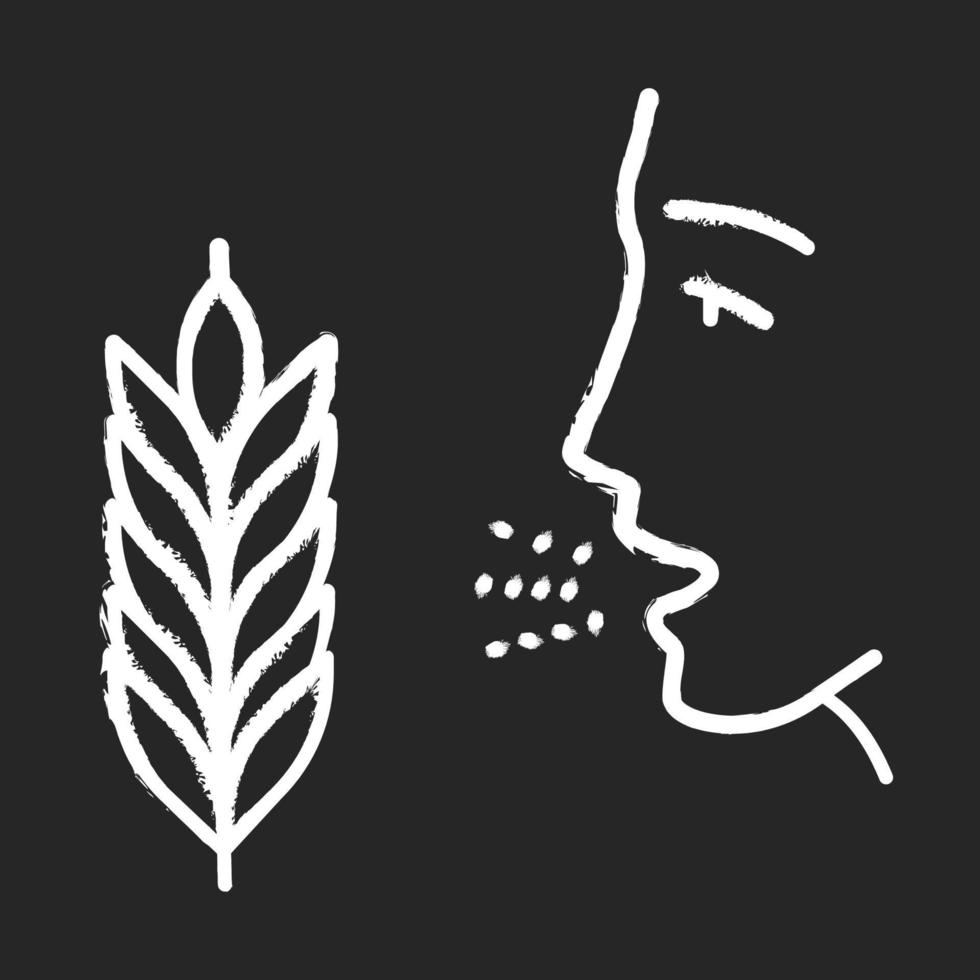 Wheat allergy chalk icon vector