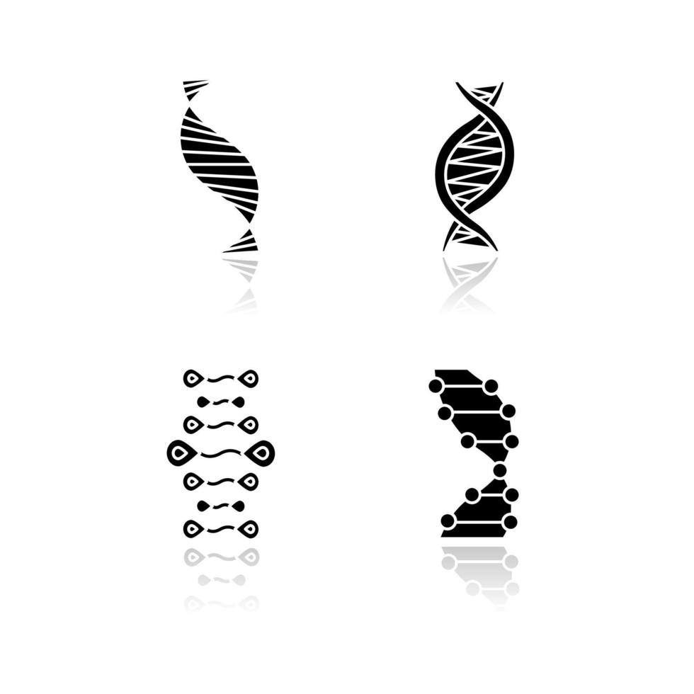 DNA strands drop shadow black glyph icons set. Deoxyribonucleic, nucleic acid helix. Spiraling strands. Chromosome. Molecular biology. Genetic code. Genome. Genetics. Isolated vector illustrations