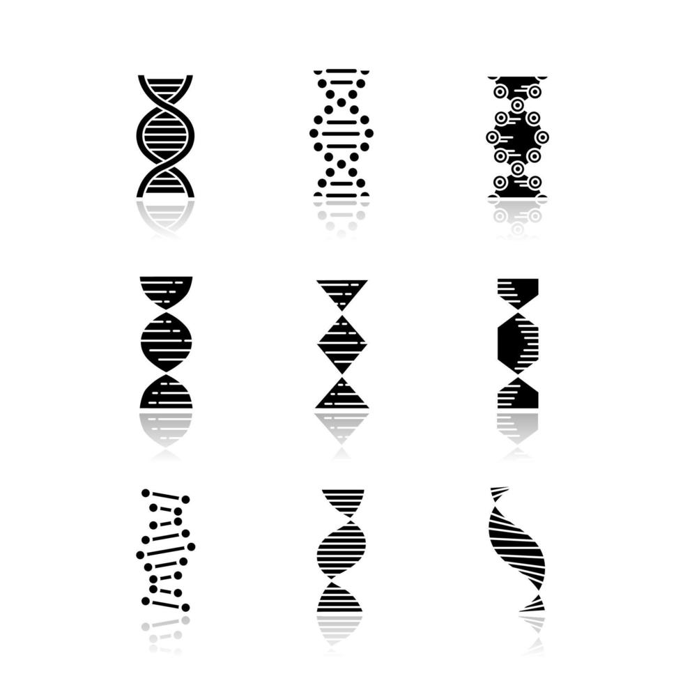 DNA spirals drop shadow black glyph icons set. Deoxyribonucleic, nucleic acid helix. Spiraling strands. Chromosome. Molecular biology. Genetic code. Genome. Genetics. Isolated vector illustrations