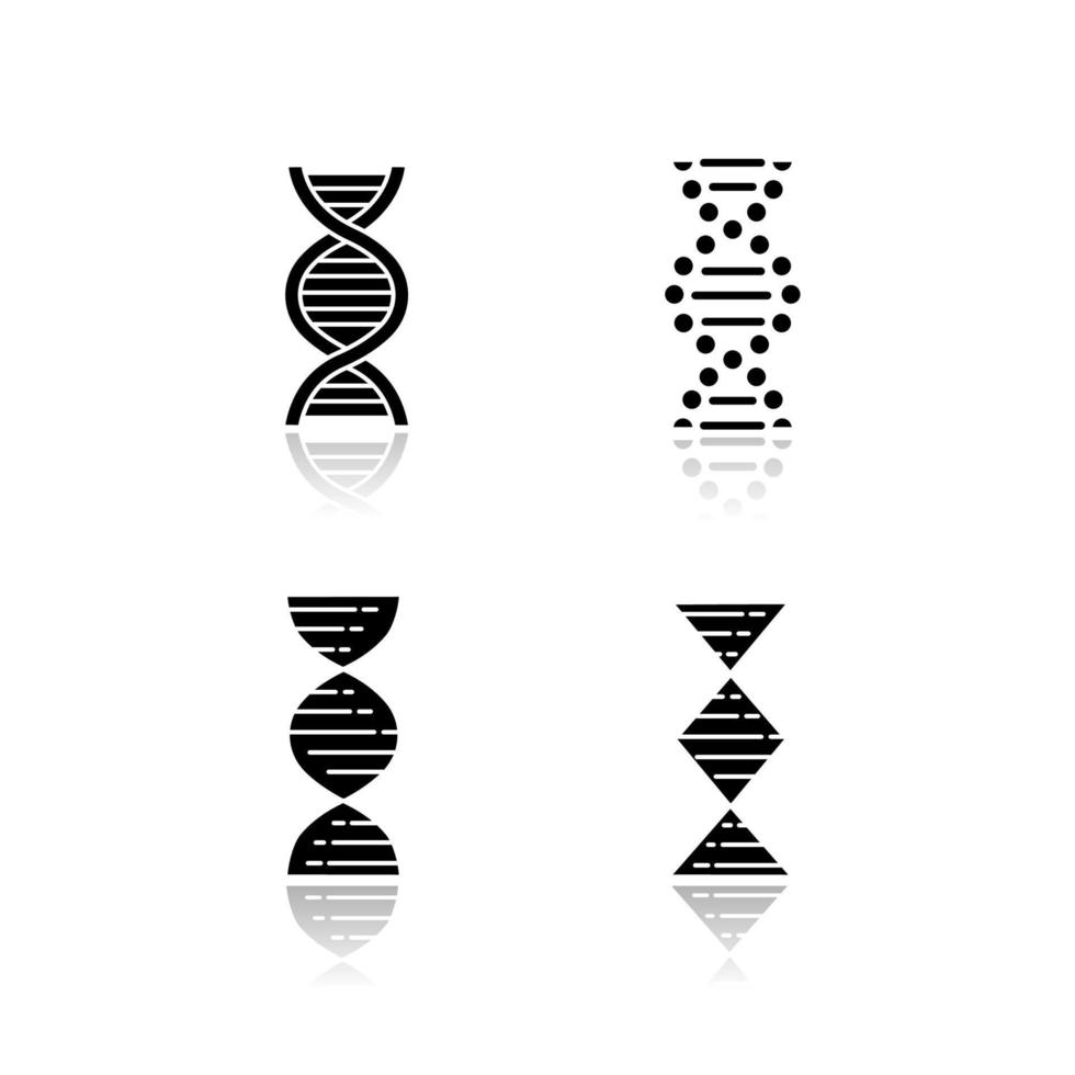 DNA spiral strands drop shadow black glyph icons set. Deoxyribonucleic, nucleic acid helix. Spiraling strands. Chromosome. Molecular biology. Genetic code. Genetics. Isolated vector illustrations